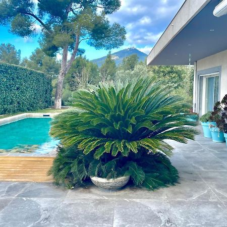 Chambre Luxe Dans Villa De Standing Avec Piscine, Acces Discret Et Independant, Terrasse Arboree Et Parking Prive La Valette-du-Var Eksteriør billede