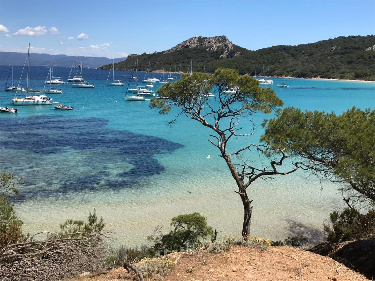 Chambre Luxe Dans Villa De Standing Avec Piscine, Acces Discret Et Independant, Terrasse Arboree Et Parking Prive La Valette-du-Var Eksteriør billede
