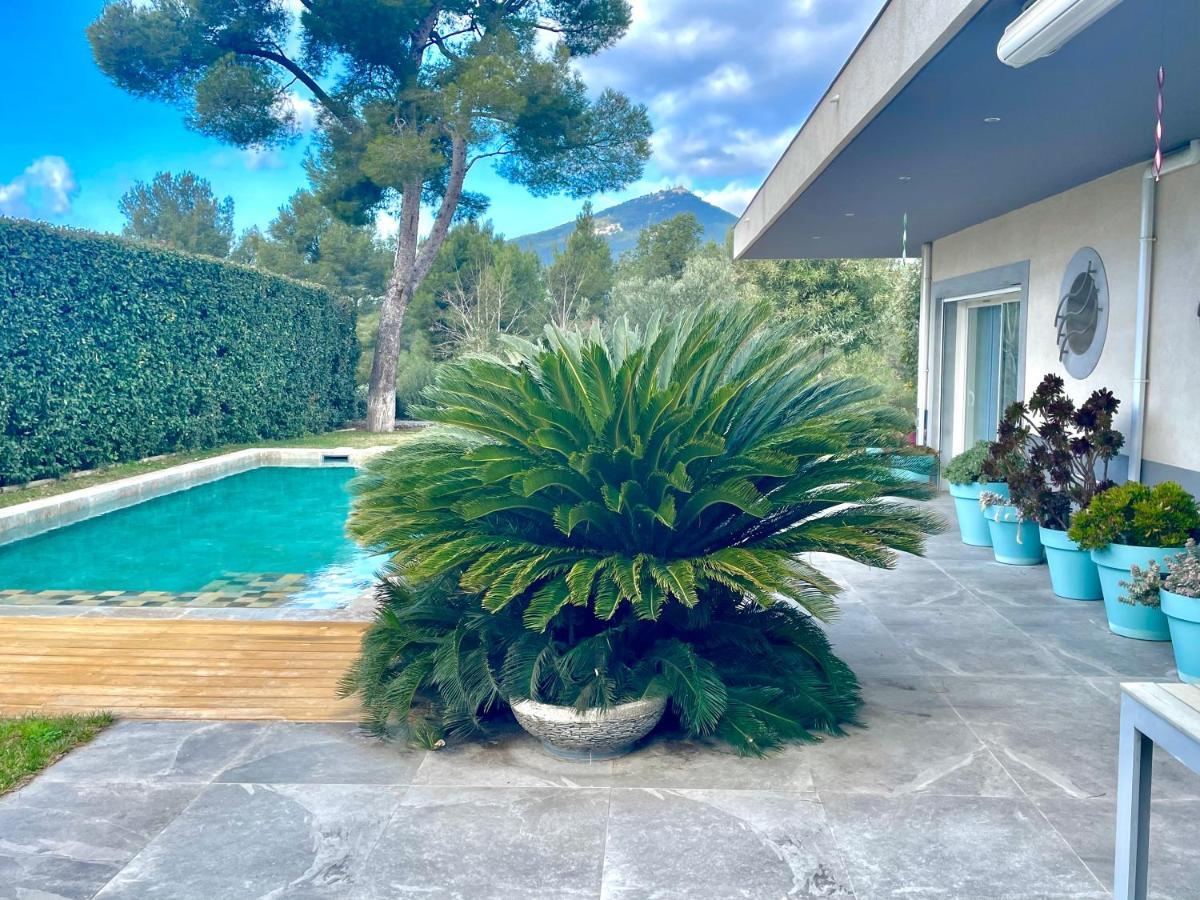 Chambre Luxe Dans Villa De Standing Avec Piscine, Acces Discret Et Independant, Terrasse Arboree Et Parking Prive La Valette-du-Var Eksteriør billede